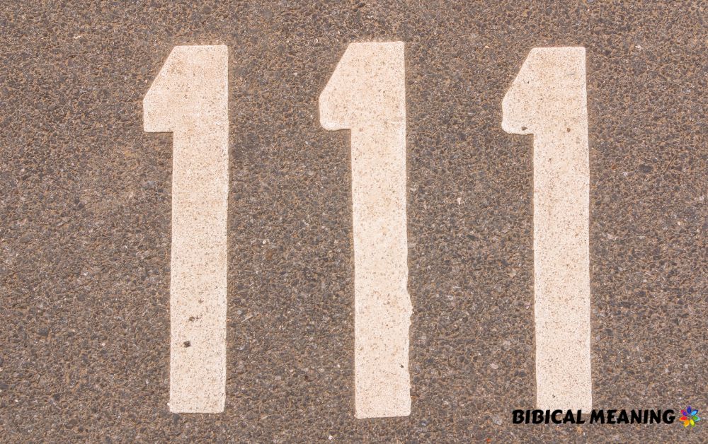 Numerology facts about number 111