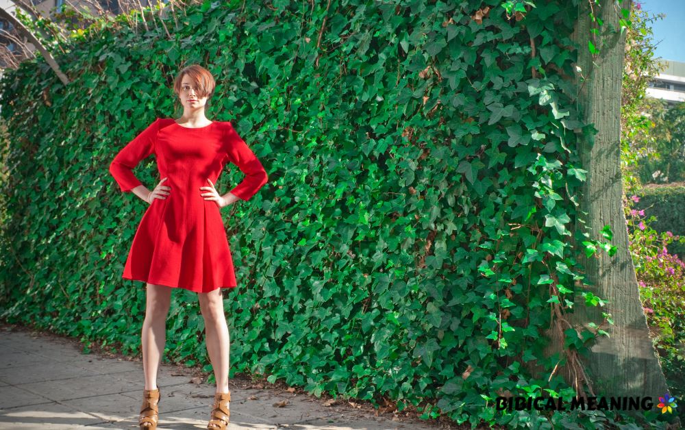 What does it mean to dream of a red dress