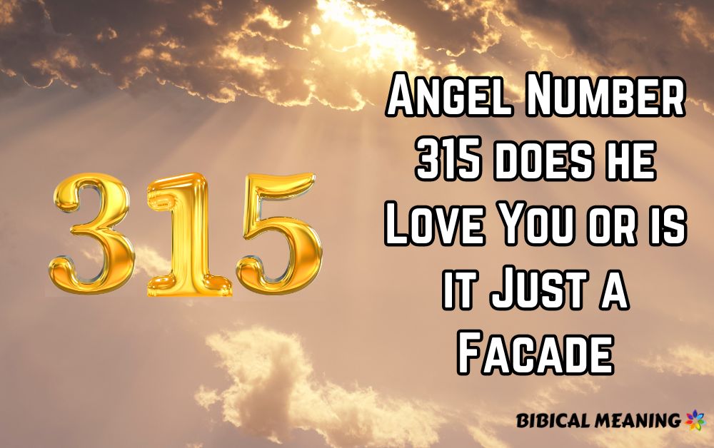 angel number 315